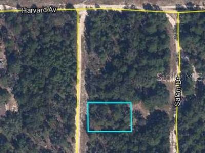 Photo of 00 LEHIGH DRIVE KEYSTONE HEIGHTS FL 32656