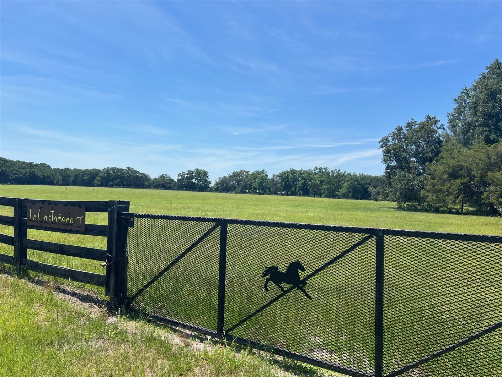 Photo of 00 NW 165TH AVENUE HIGH SPRINGS FL 32643