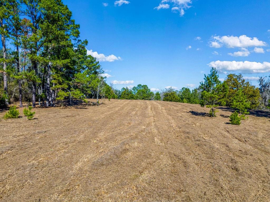 Photo of TBD 99TH AVENUE LAKE BUTLER FL 32054