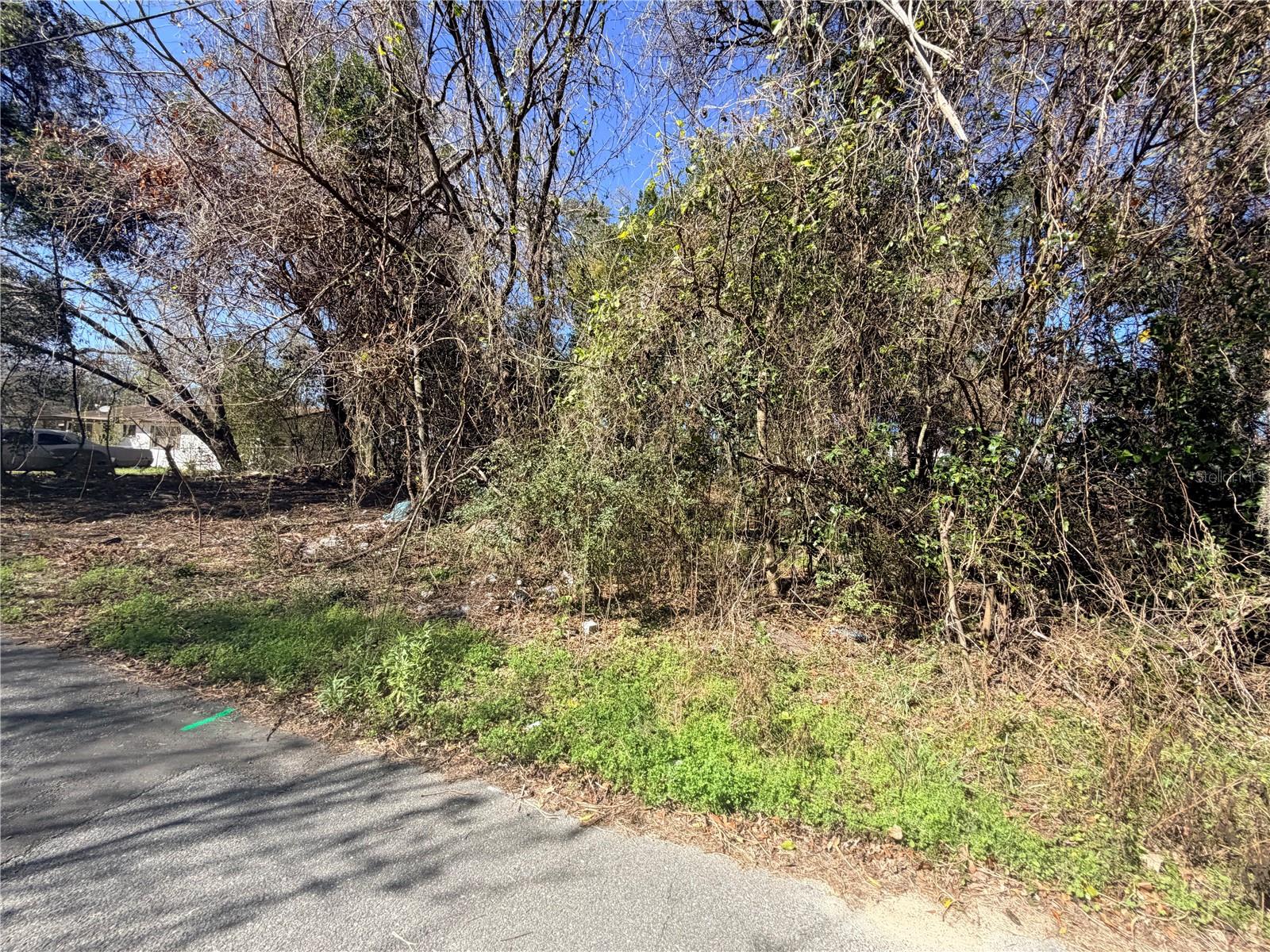 Photo of TBD NW 151ST AVENUE ALACHUA FL 32615