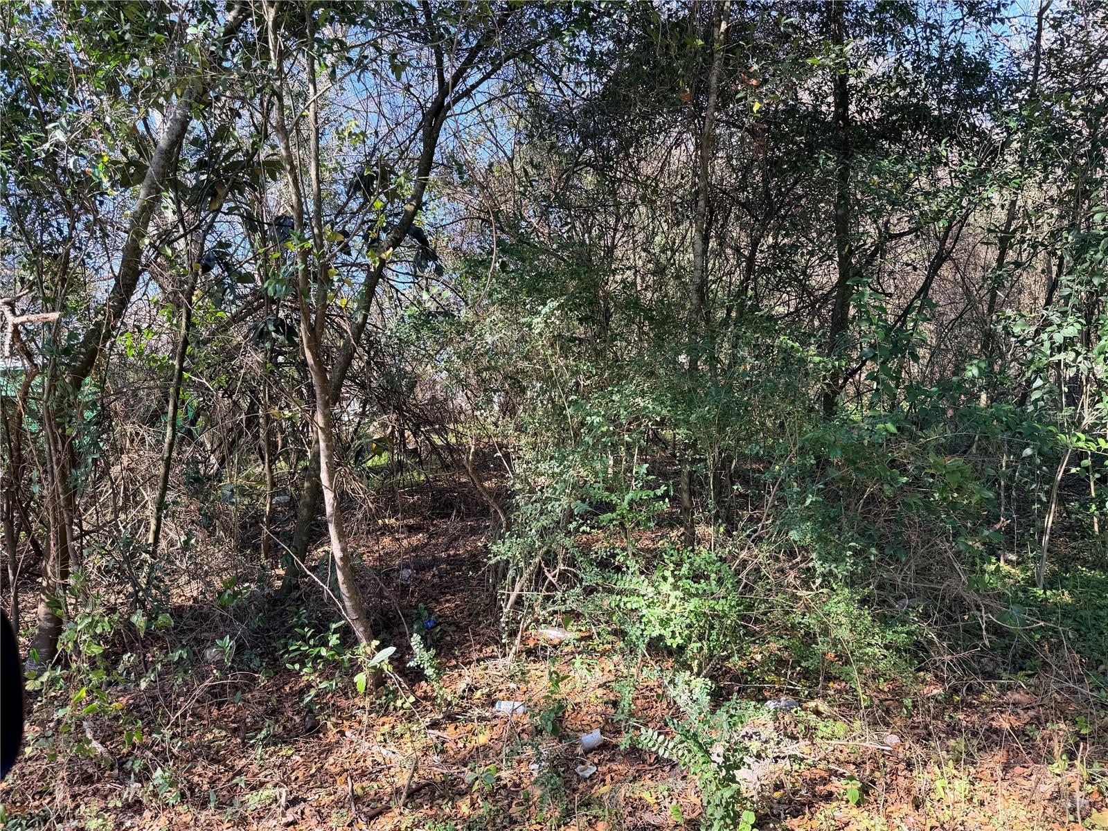 Photo of TBD NW 151ST AVENUE ALACHUA FL 32615