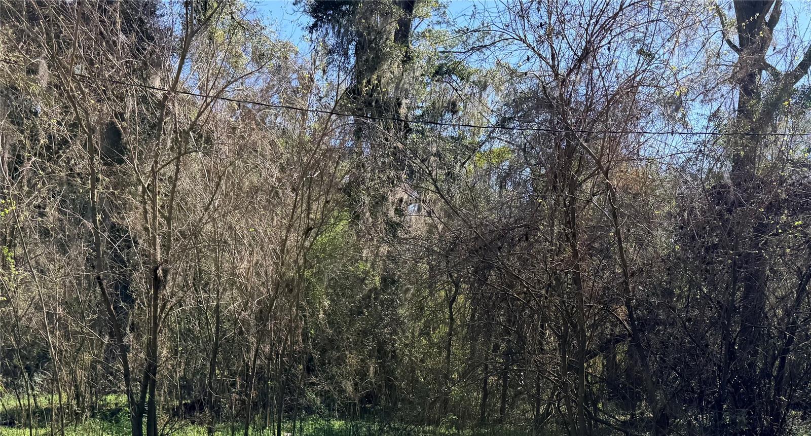 Photo of TBD PLATTED ROAD WAY ALACHUA FL 32615