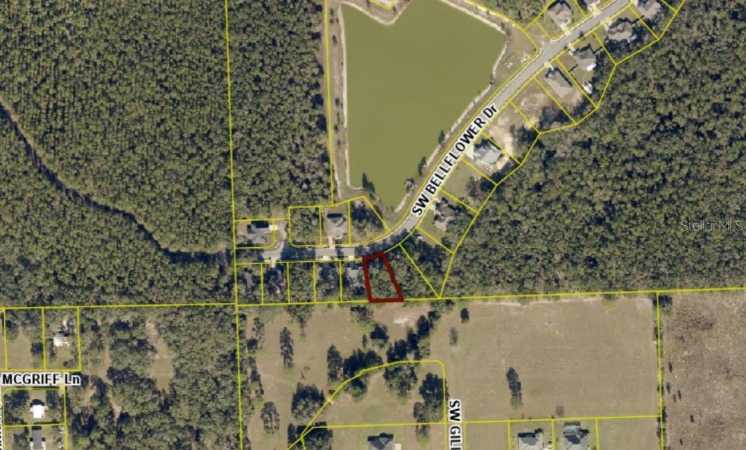 Photo of 593 SW BELLFLOWER DRIVE LAKE CITY FL 32024