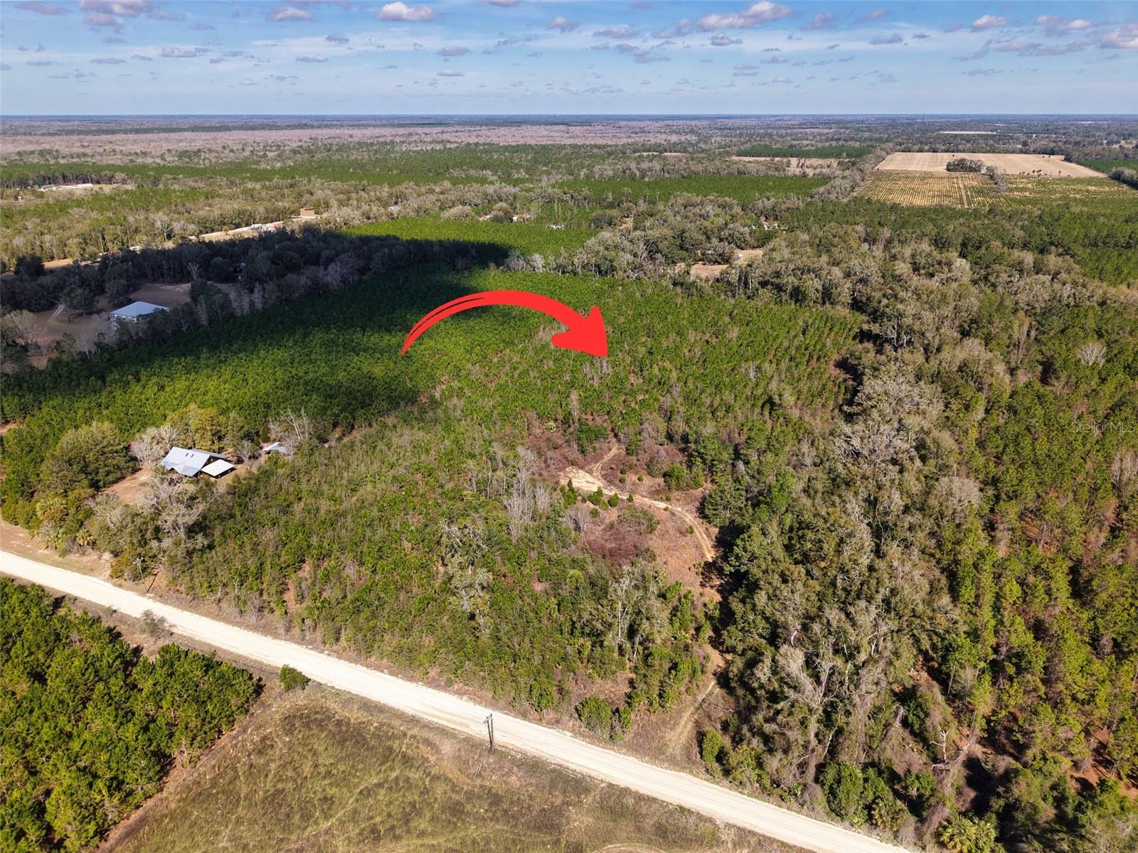 Photo of Lot 17 SW 80TH STREET TRENTON FL 32693