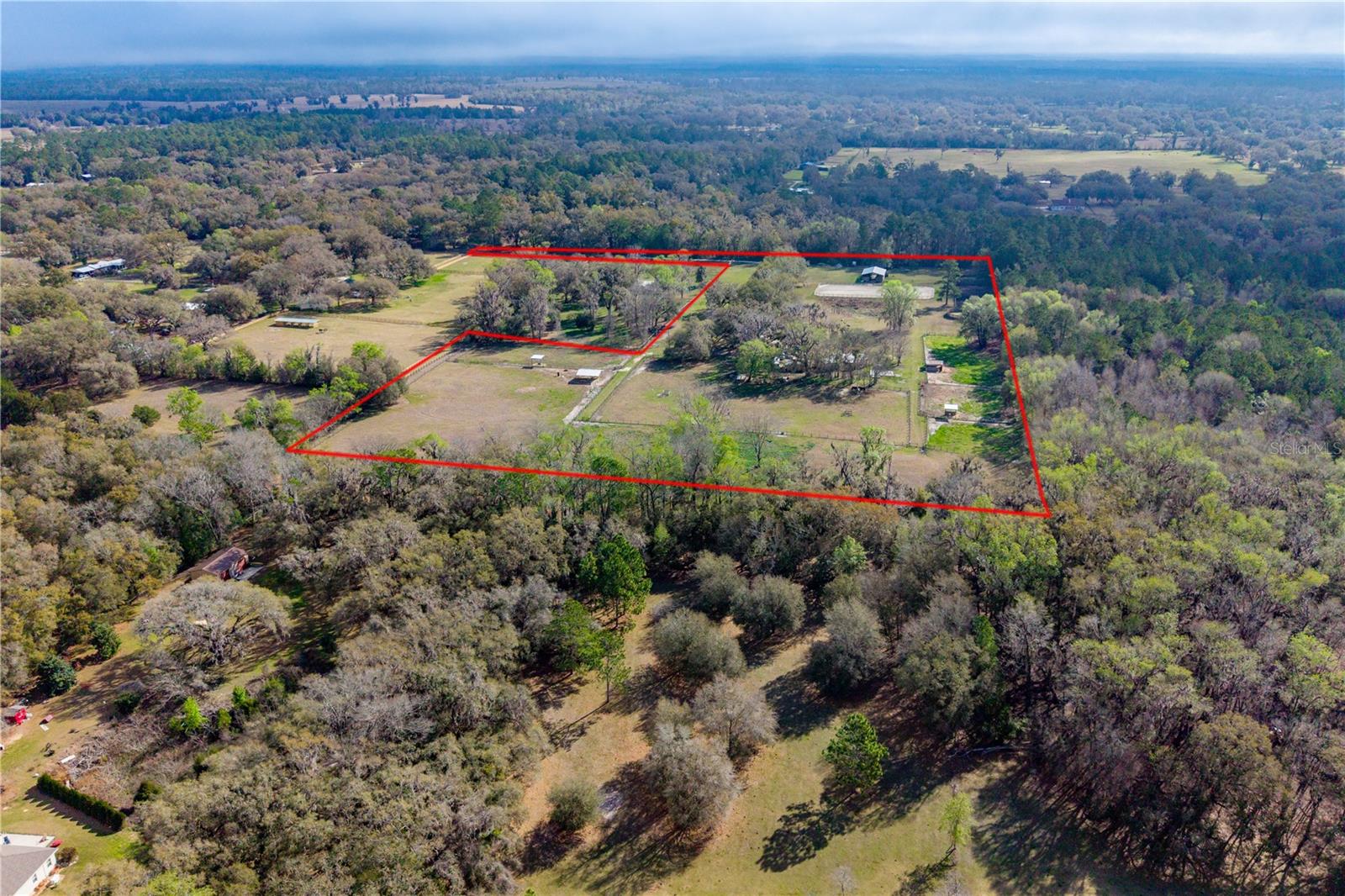 Photo of 16242 NW 130TH STREET WILLISTON FL 32696