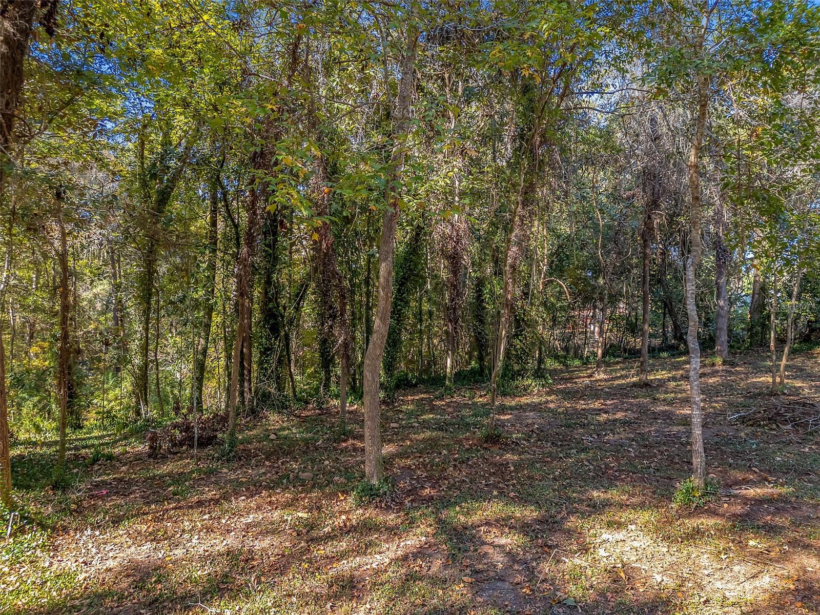 Photo of 0 GLENNIS COURT TALLAHASSEE FL 32303