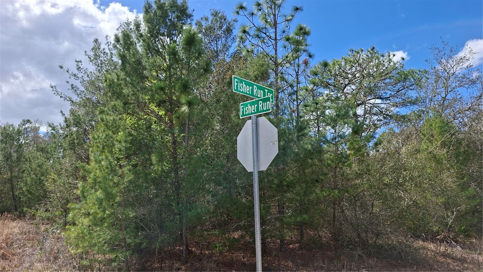 Photo of FISHER RUN OCKLAWAHA FL 32183