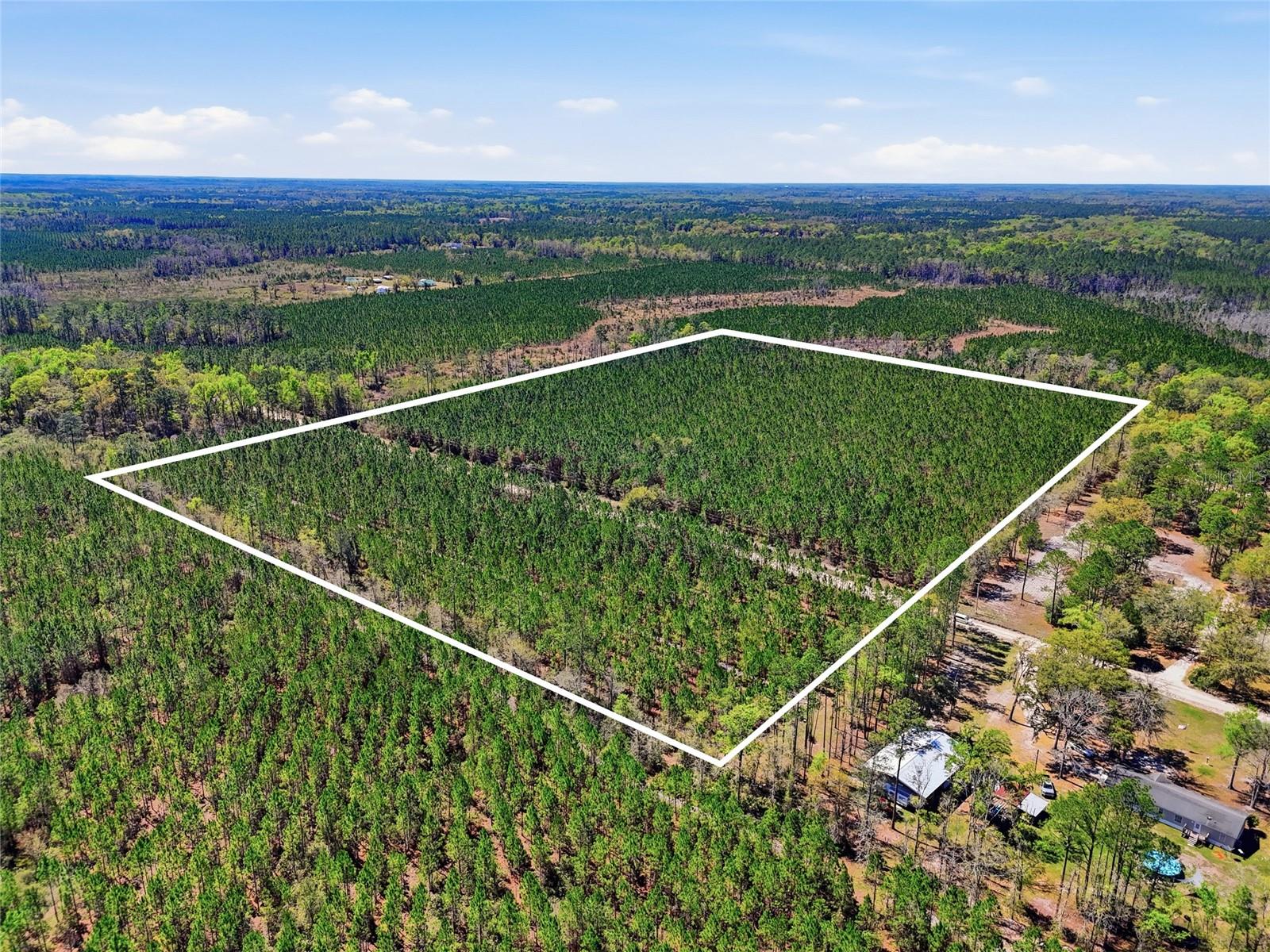 Photo of TBD SE POUNDS HAMMOCK ROAD LAKE CITY FL 32025