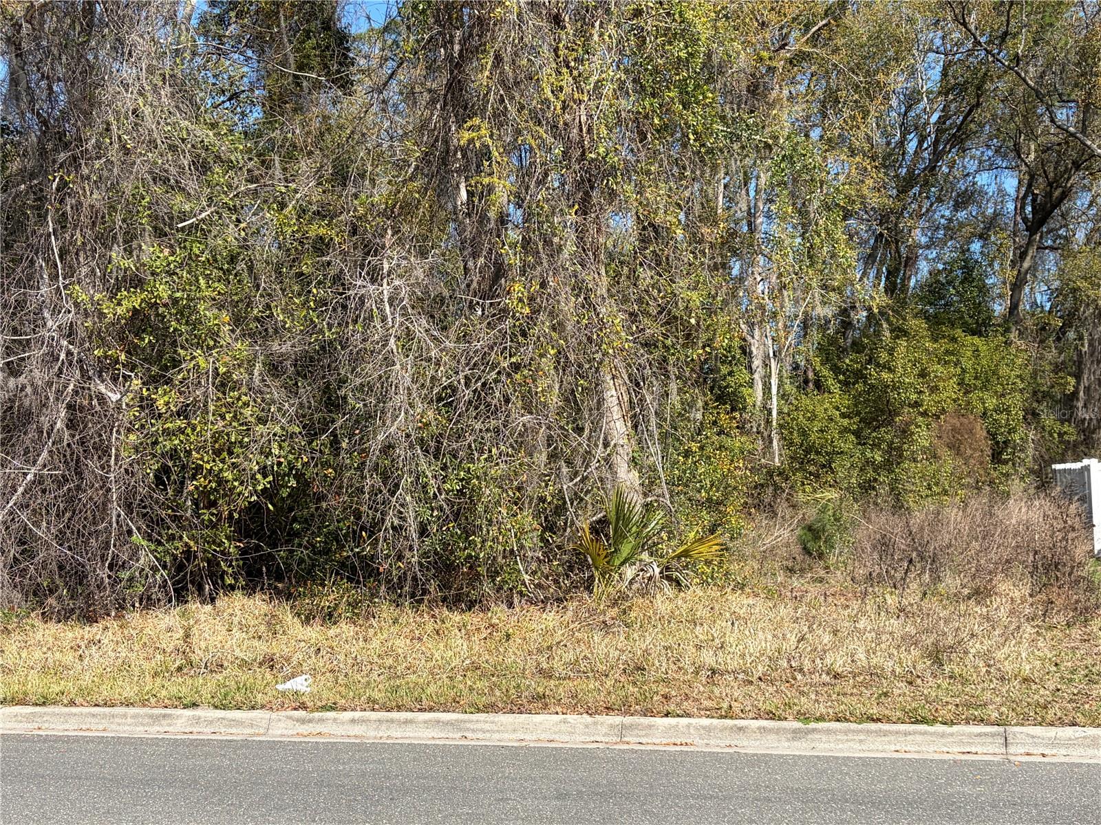 Photo of 1908 NE 7TH AVENUE GAINESVILLE FL 32641