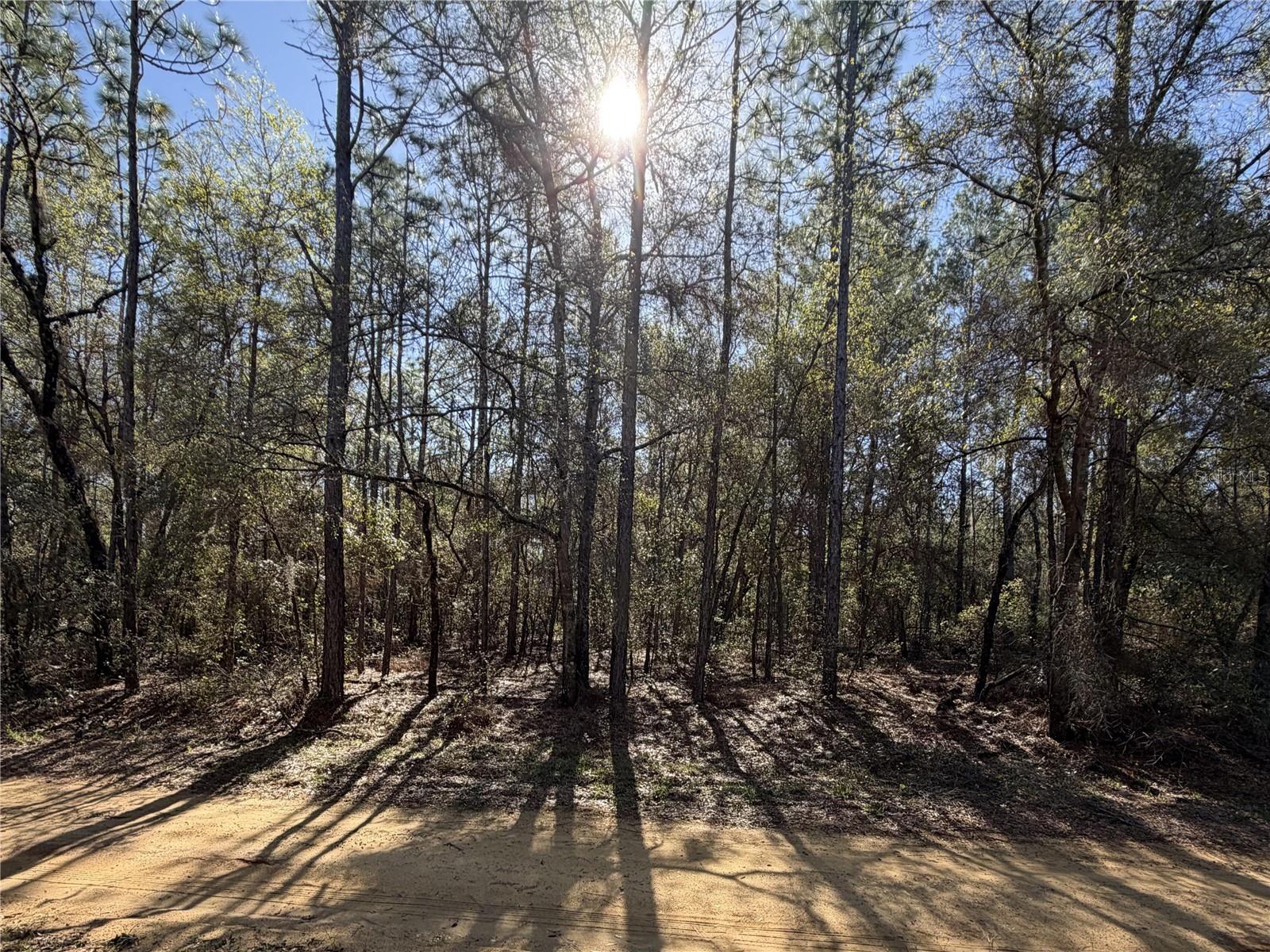 Photo of SE 7TH AVENUE INTERLACHEN FL 32148