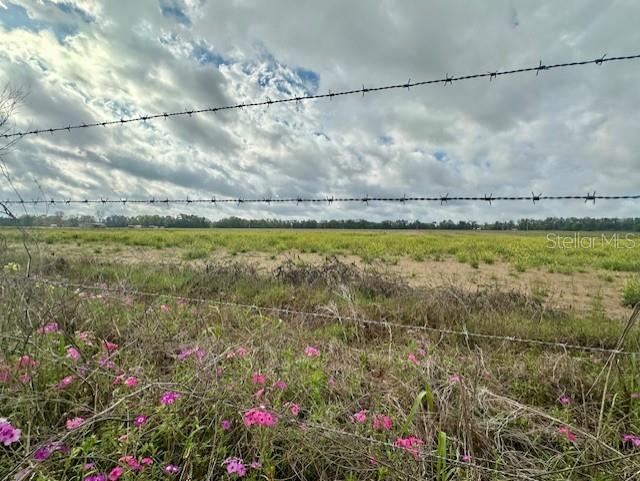 Photo of SW 80TH STREET TRENTON FL 32693