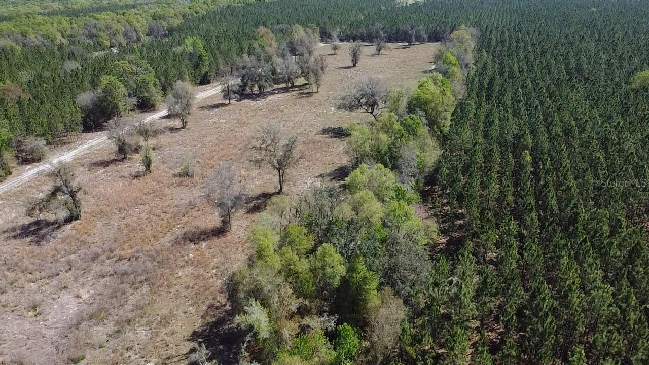 Photo of 000 SW LANGELIER FORT WHITE FL 32038
