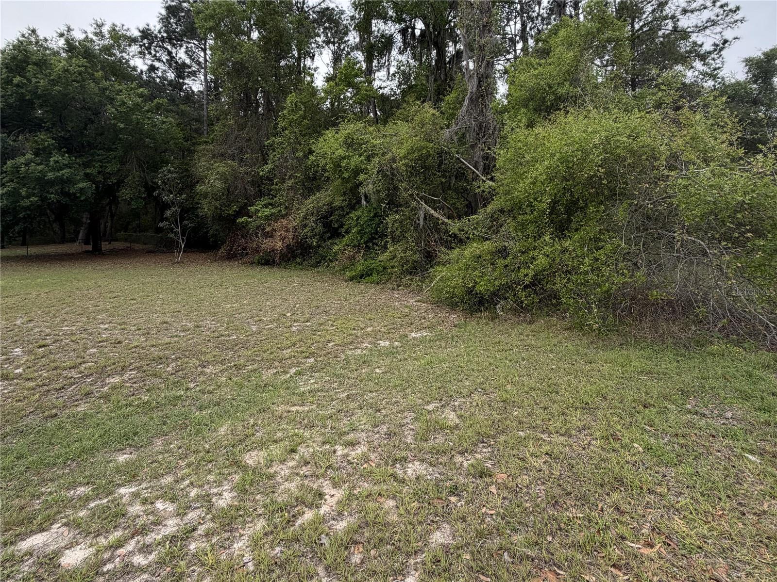 Photo of 24615 SE 101ST AVENUE HAWTHORNE FL 32640