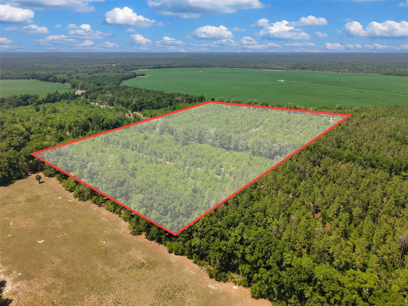 Photo of TBD 000 NE 998TH AVENUE BRANFORD FL 32008