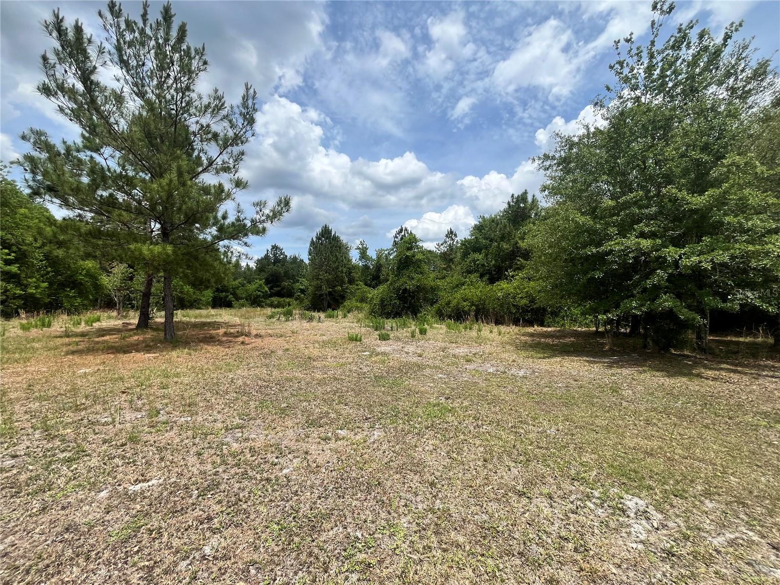 Photo of 0 NW COUNTY ROAD 229 STARKE FL 32091