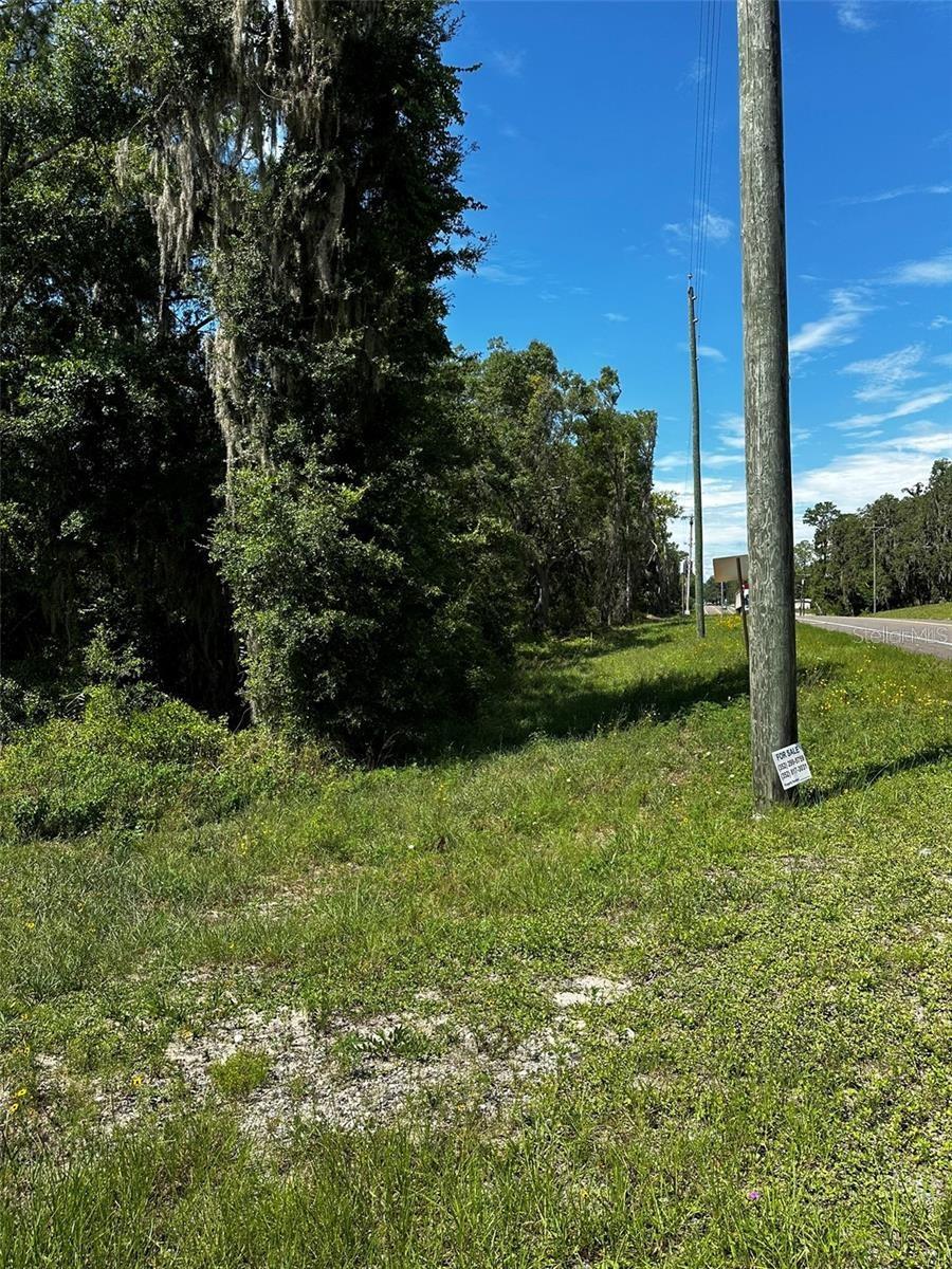 Photo of xx THRASHER DR BRONSON FL 32621