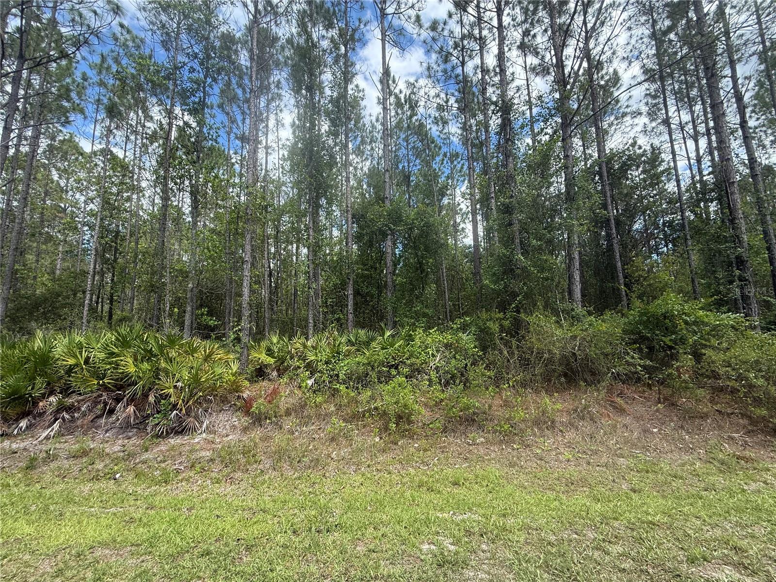 Photo of SW 89TH STREET LAKE BUTLER FL 32054