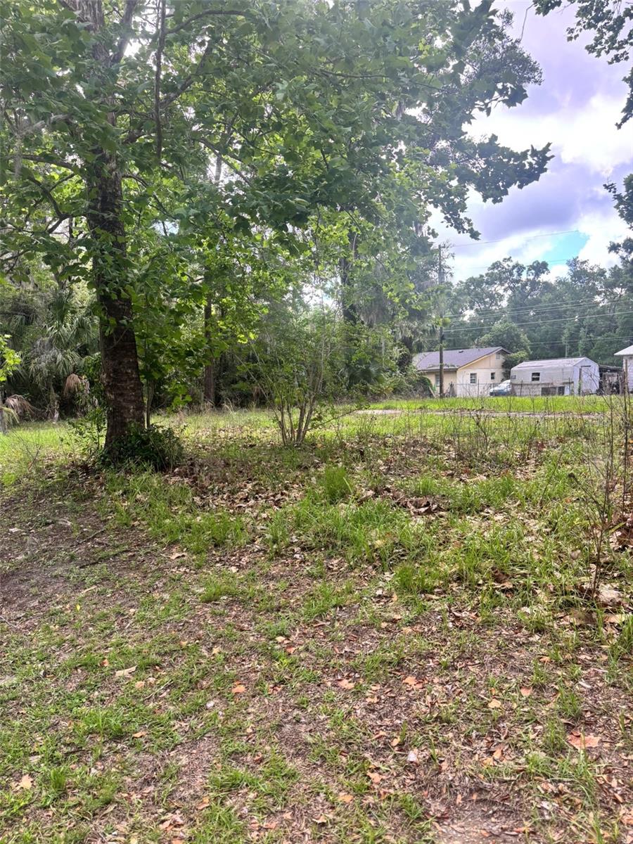 Photo of 488 MARGARET STREET BRONSON FL 32621