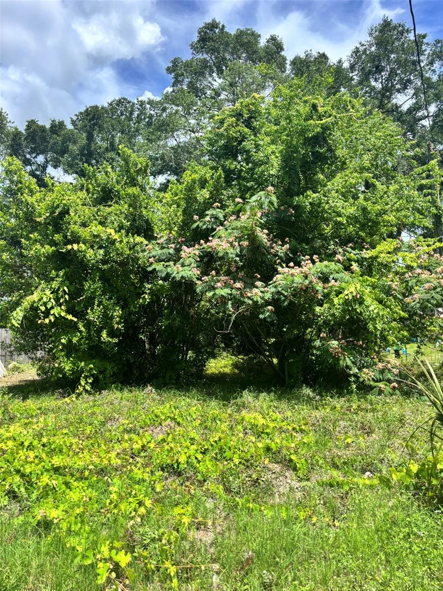 Photo of 206 NE 13TH AVENUE CHIEFLAND FL 32626