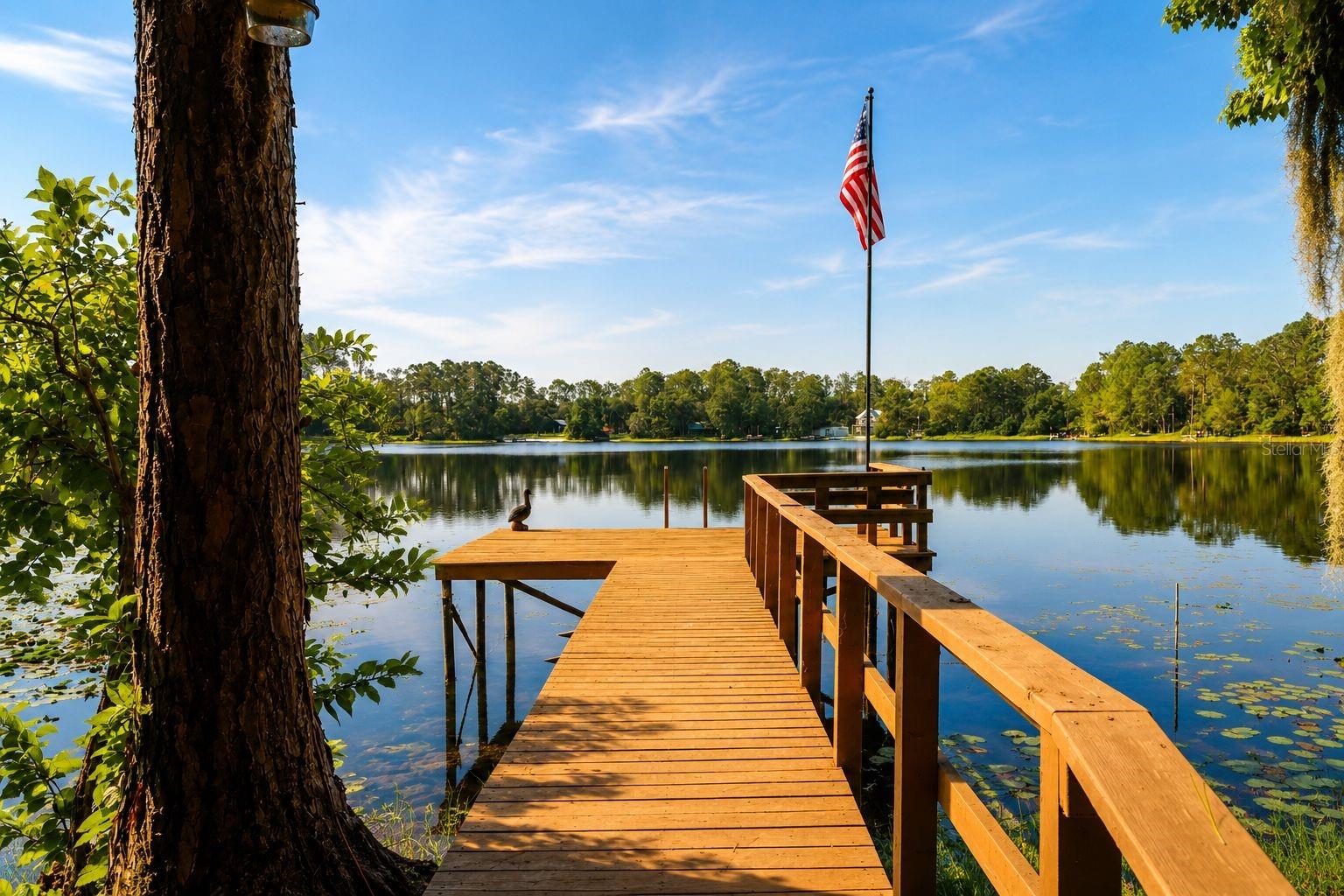 Photo of 303 RILEY LAKE DRIVE HAWTHORNE FL 32640