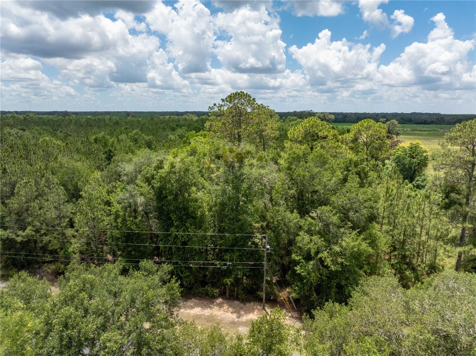 Photo of 17198 SW STATE ROAD 47 FORT WHITE FL 32038