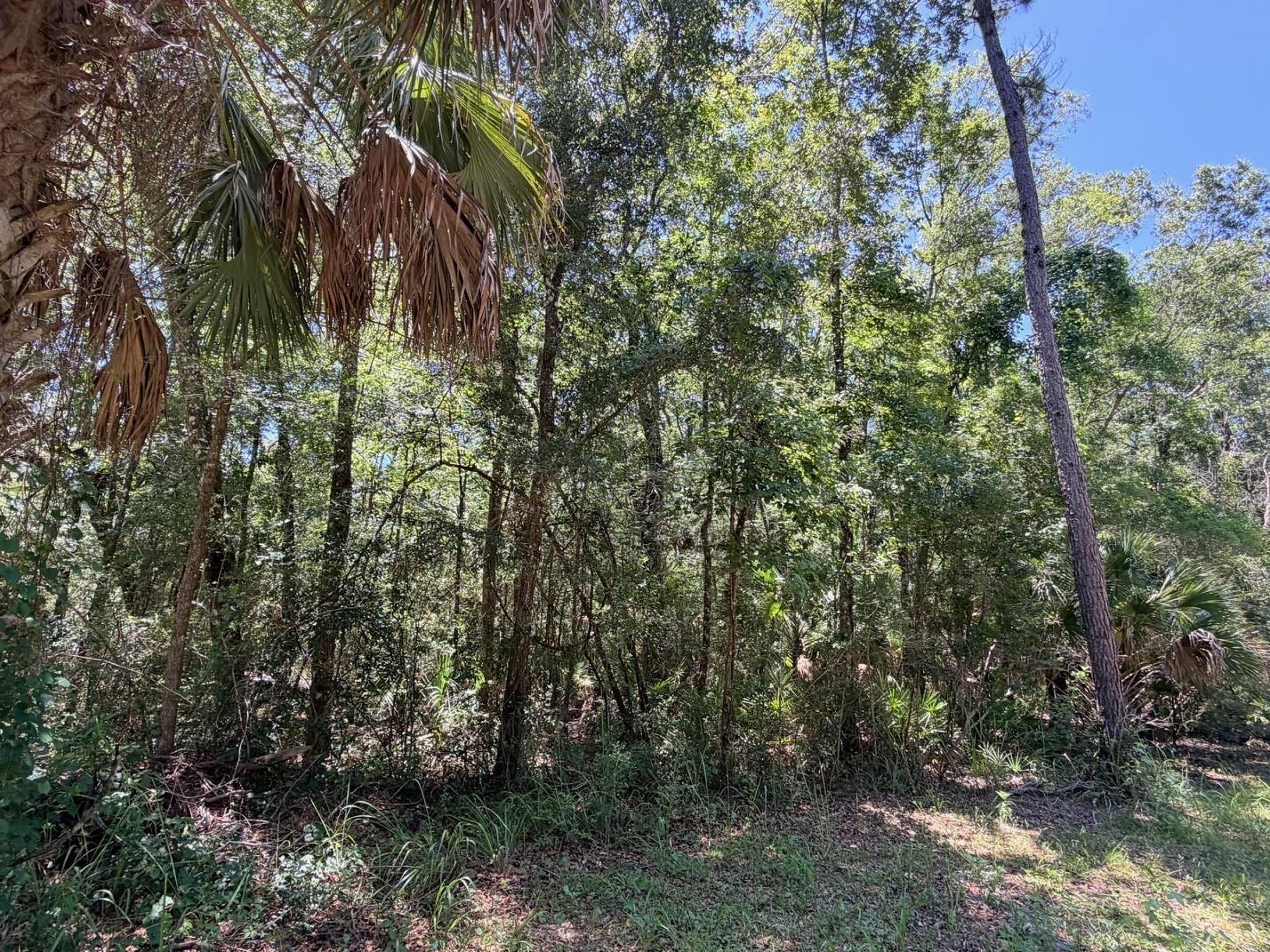 Photo of 0 SE HWY 19 INGLIS FL 34449