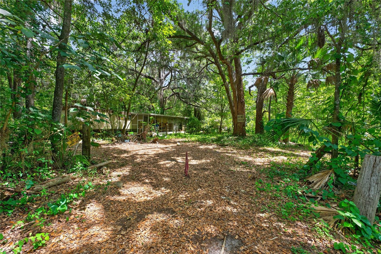 Photo of 5725 NW 219TH STREET ROAD MICANOPY FL 32667
