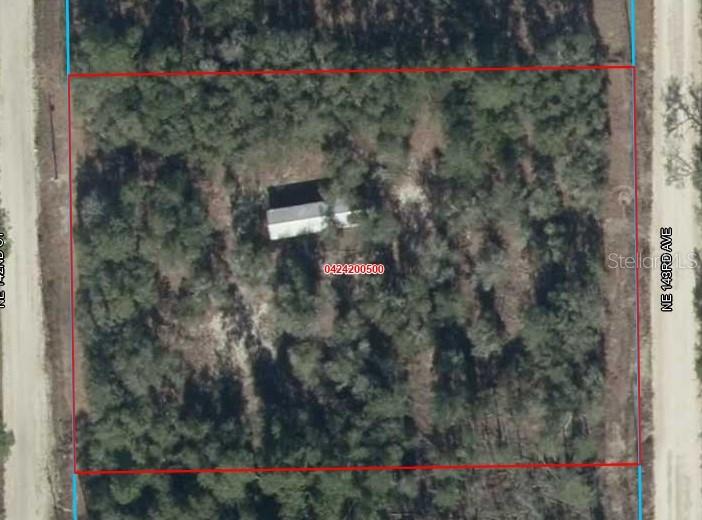 Photo of 4951 NE 142ND COURT WILLISTON FL 32696