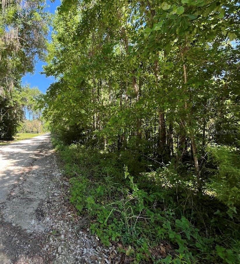 Photo of 14220 NW 182ND LANE WILLISTON FL 32696