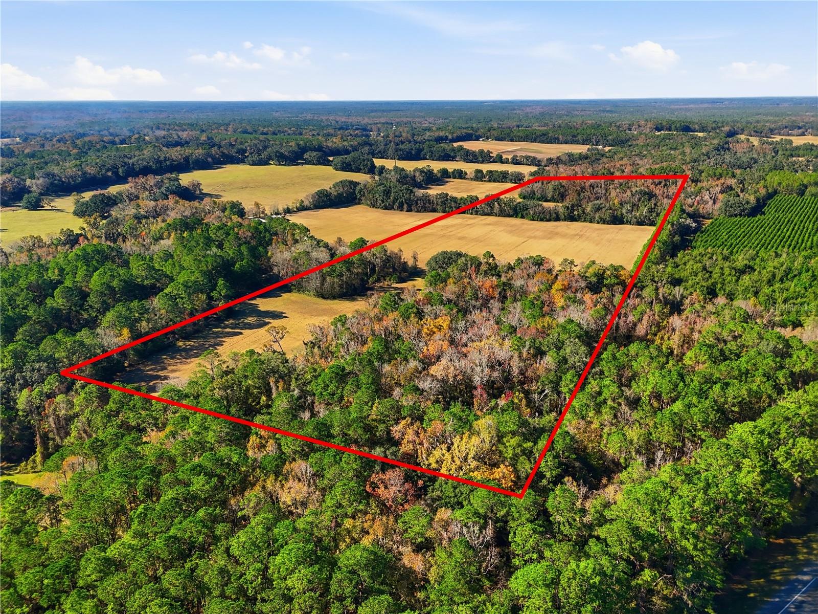 Photo of OLD BELLAMY RD HIGH SPRINGS FL 32643