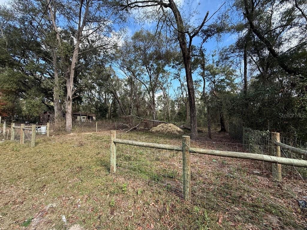 Photo of 255 SE 917 STREET CROSS CITY FL 32628