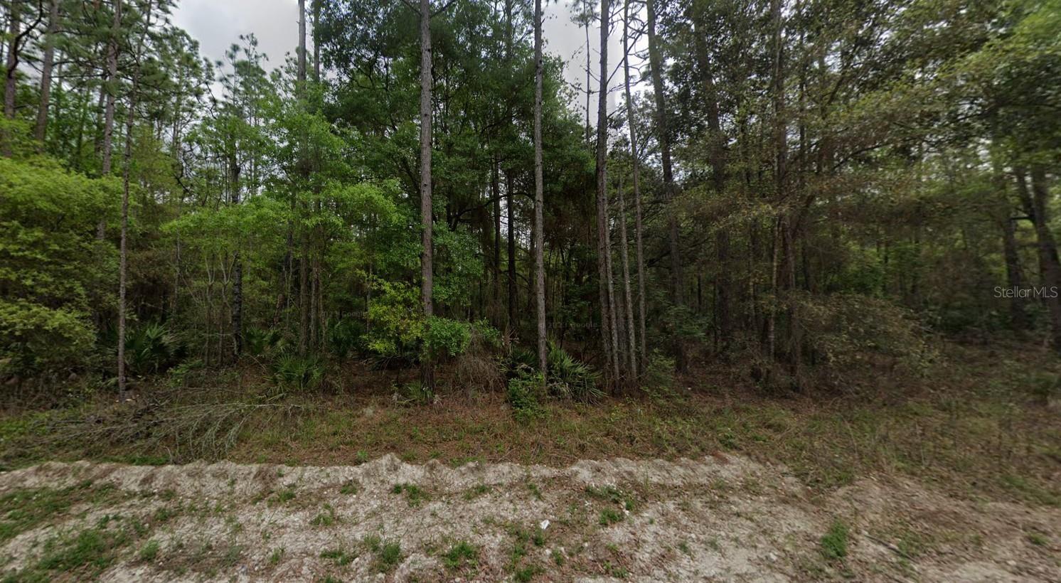 Photo of NE 821ST STREET OLD TOWN FL 32680