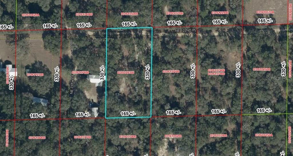 Photo of 7770 NE 122ND PLACE BRONSON FL 32621