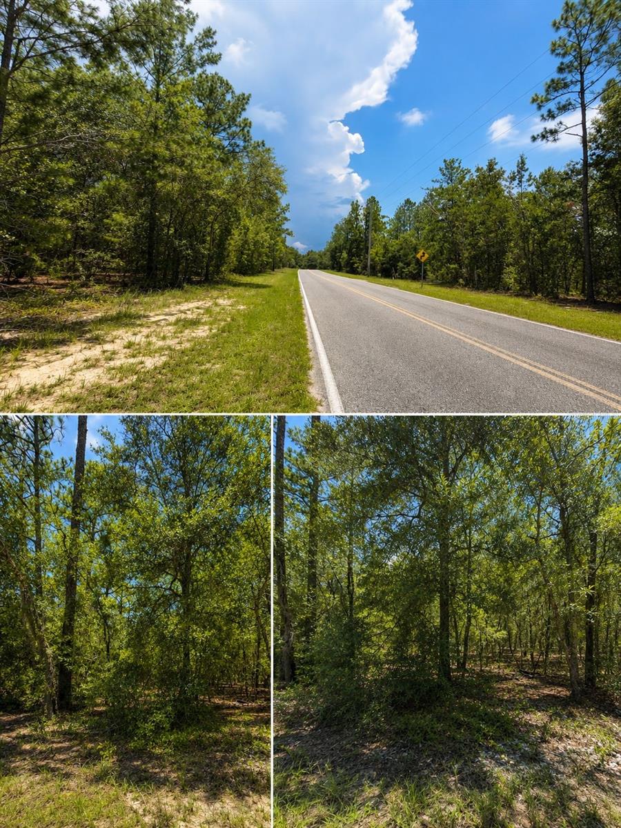 Photo of 507 & 509 BADEN POWELL ROAD HAWTHORNE FL 32640