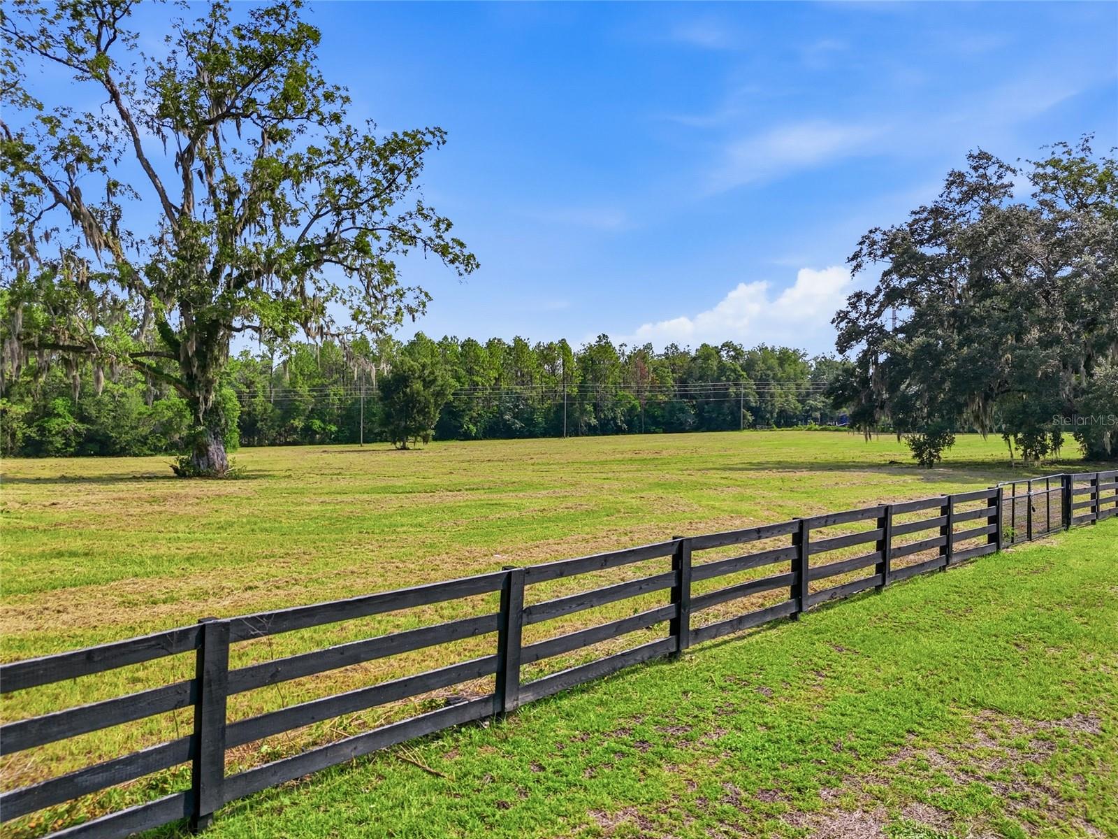 Photo of 14502 NW 132ND PLACE ALACHUA FL 32615