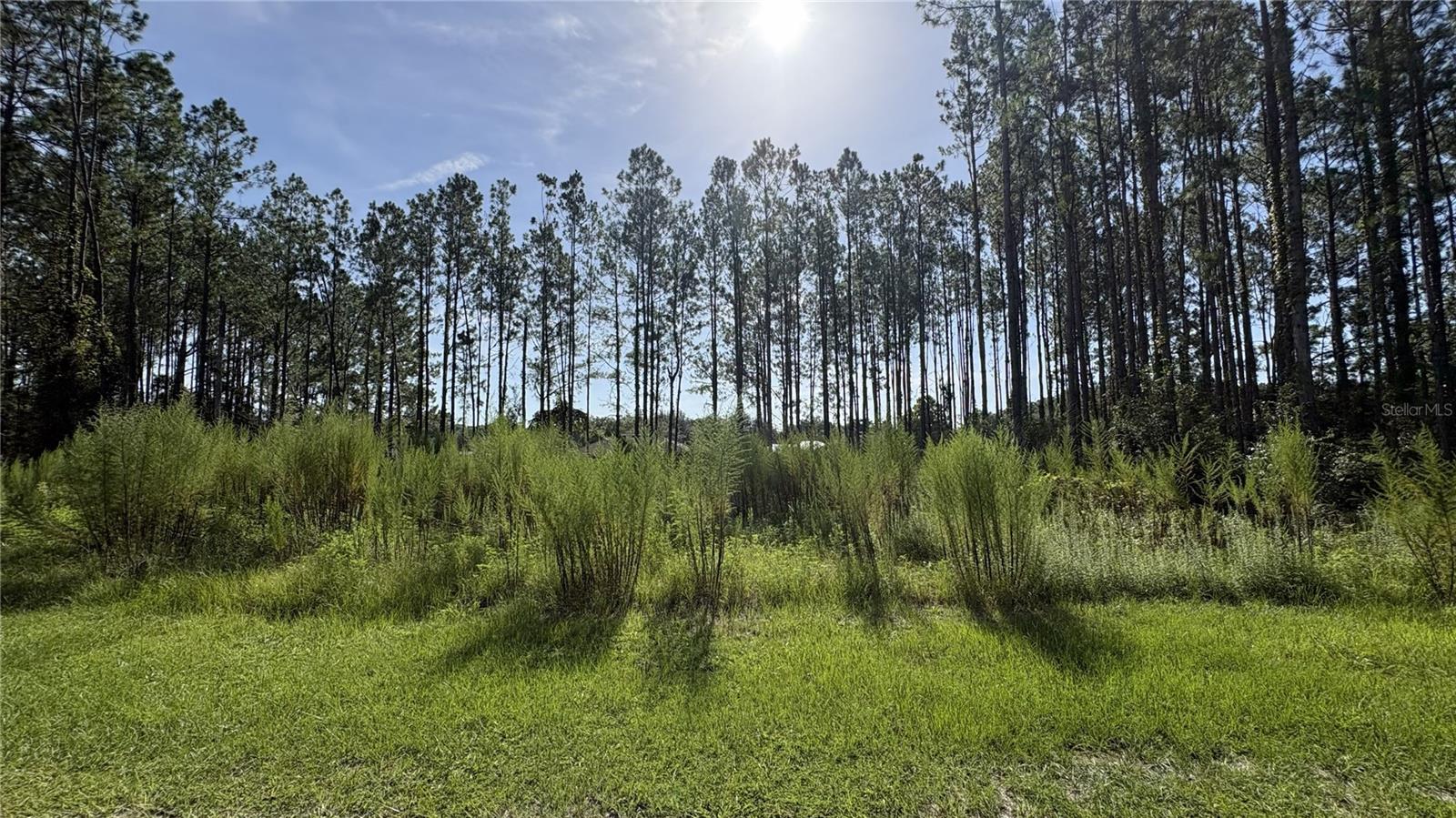 Photo of TBD NW 130TH AVENUE HIGH SPRINGS FL 32643