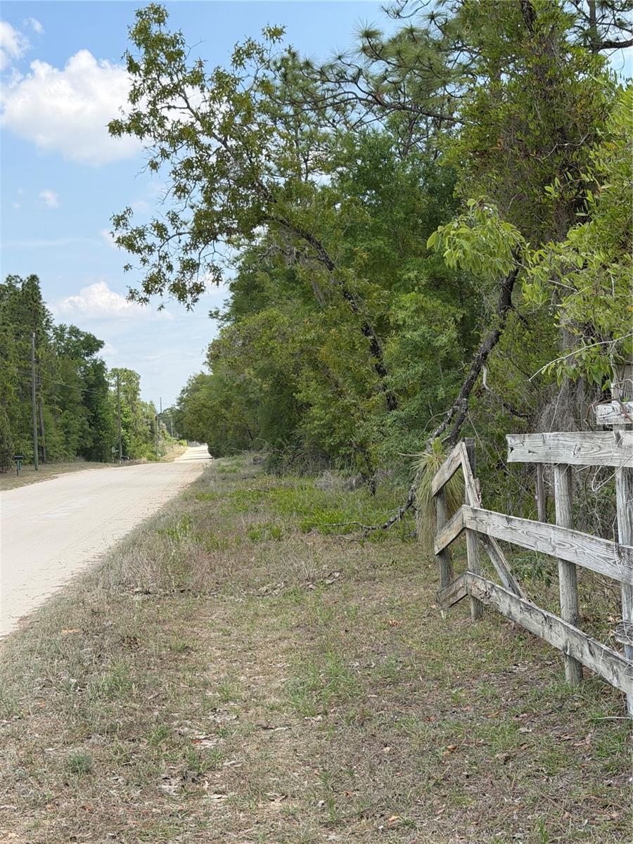 Photo of NE 110TH AVENUE BRONSON FL 32621