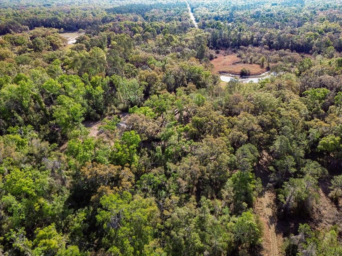 Photo of 957 NE 354TH AVENUE OLD TOWN FL 32680
