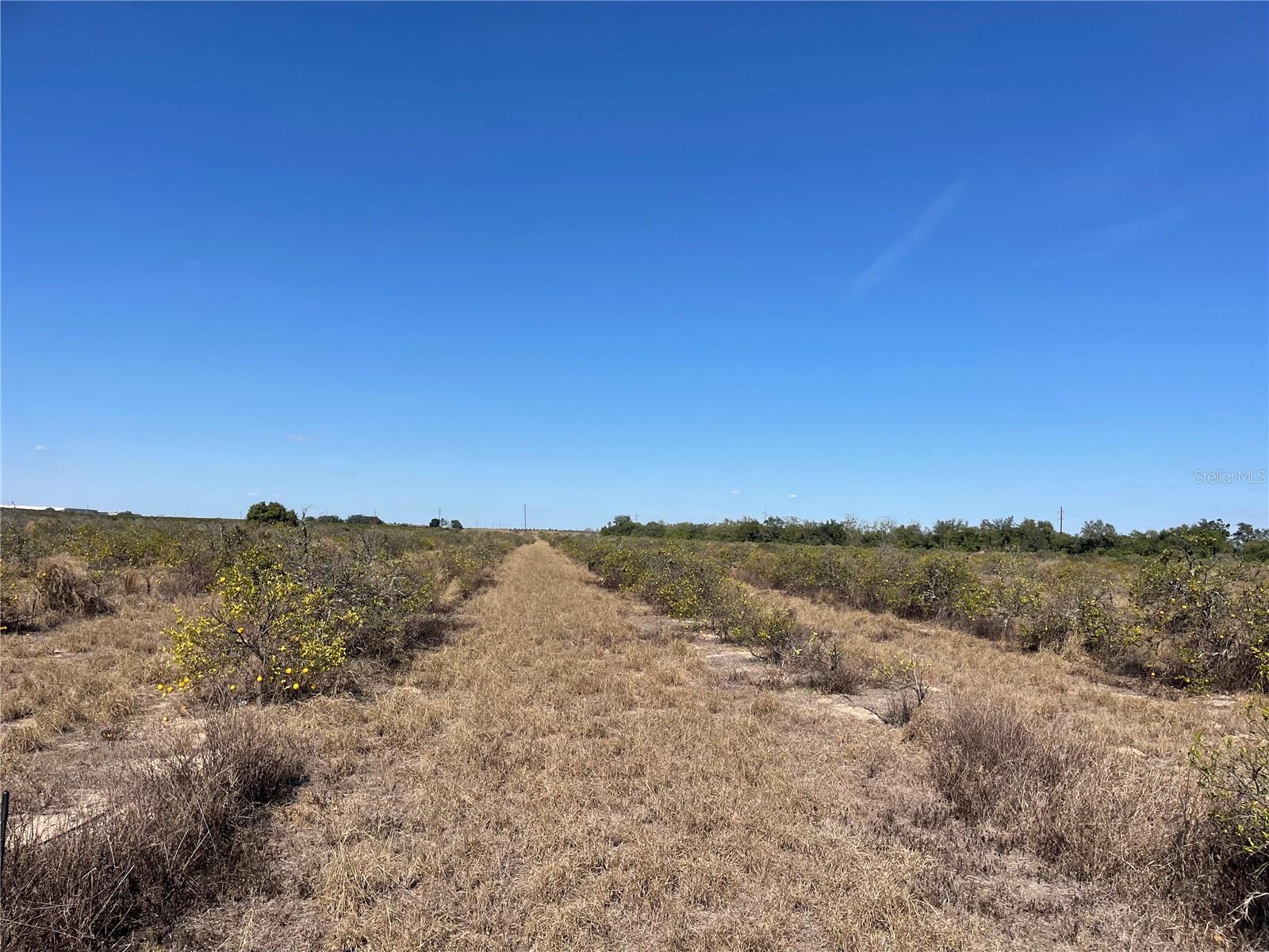 Photo of LAWRENCE STEWART ROAD FROSTPROOF FL 33843