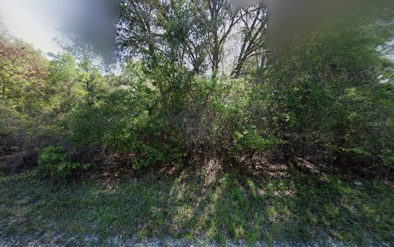 Photo of NE 799TH STREET OLD TOWN FL 32680