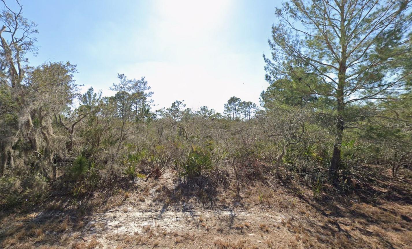 Photo of 3235 N DAHLIA DRIVE LAKE PLACID FL 33852