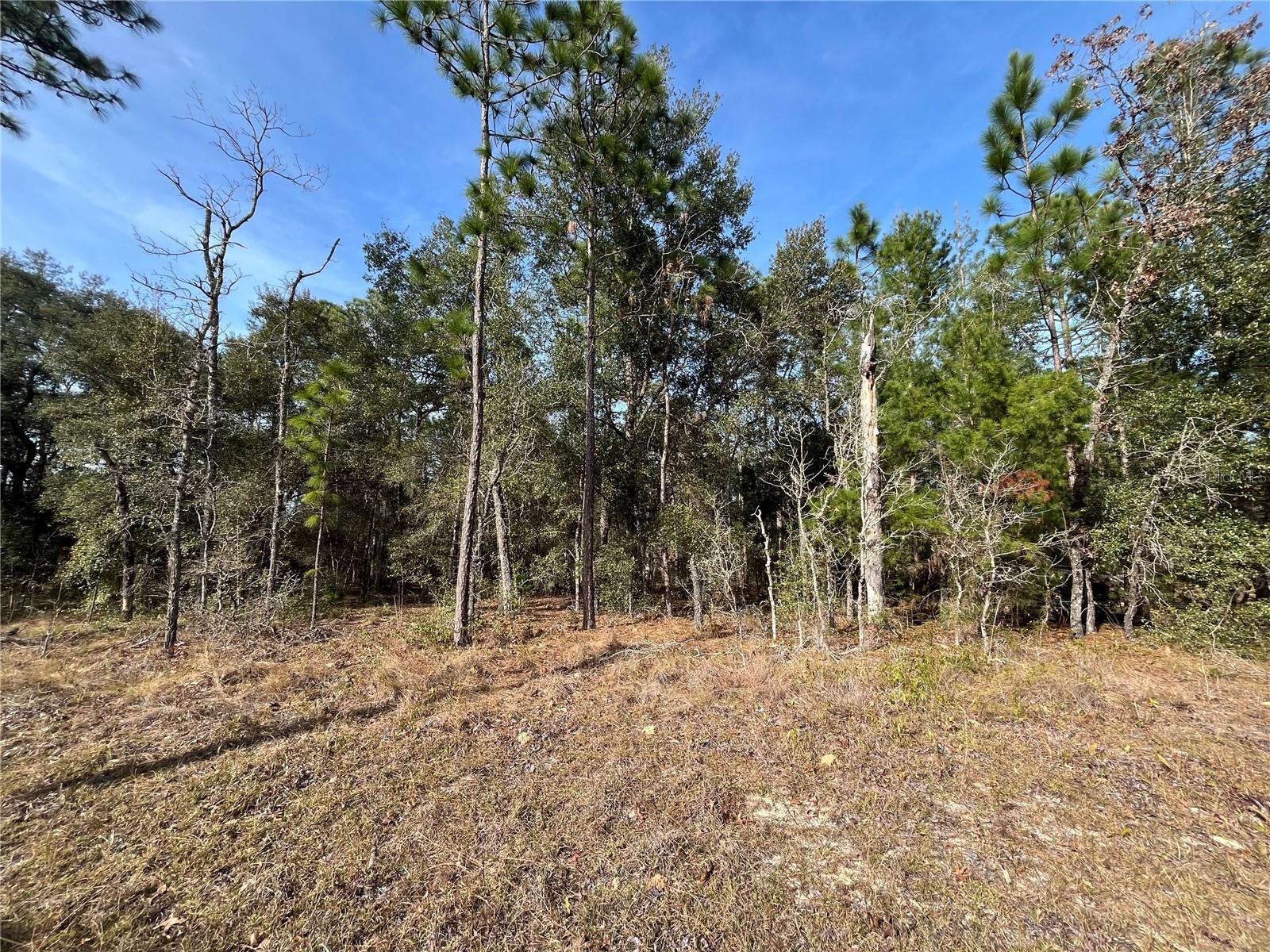 Photo of 6168 EMORY AVENUE KEYSTONE HEIGHTS FL 32656