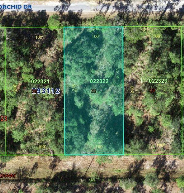 Photo of 905 ORCHID DR INDIAN LAKE ESTATES FL 33855