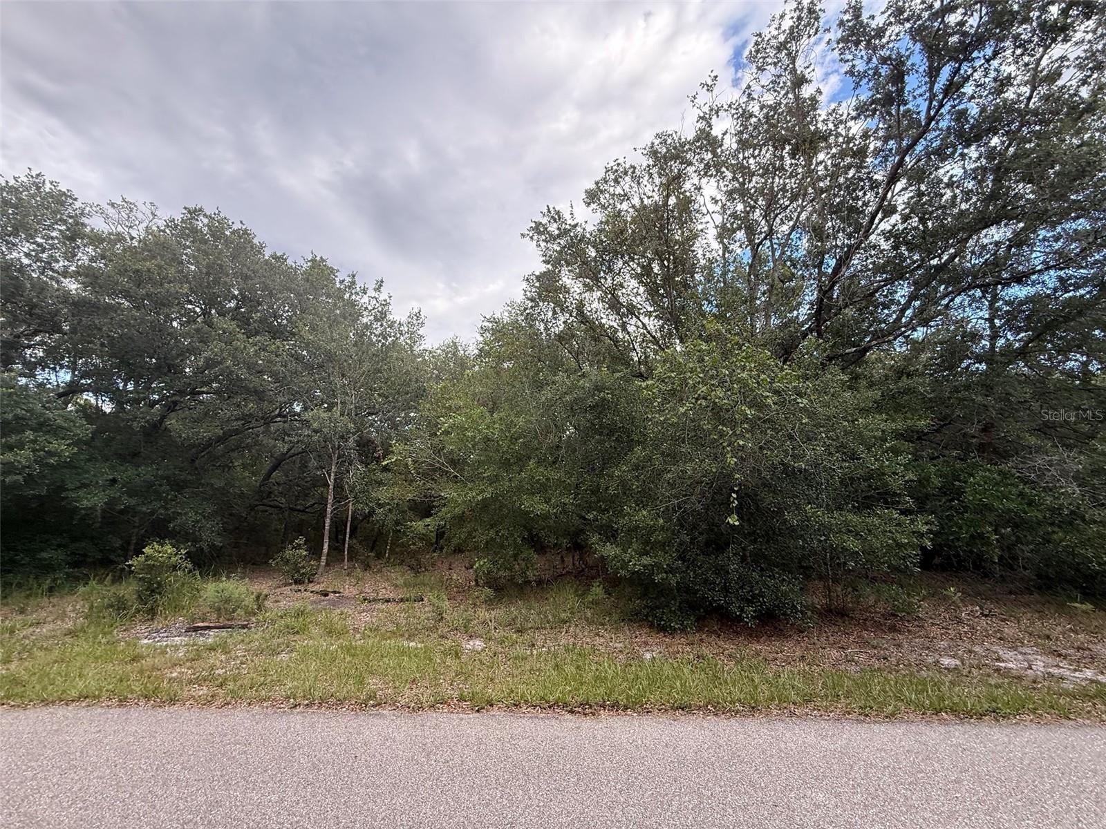 Photo of 1012 WILDFLOWER STREET LAKE PLACID FL 33852