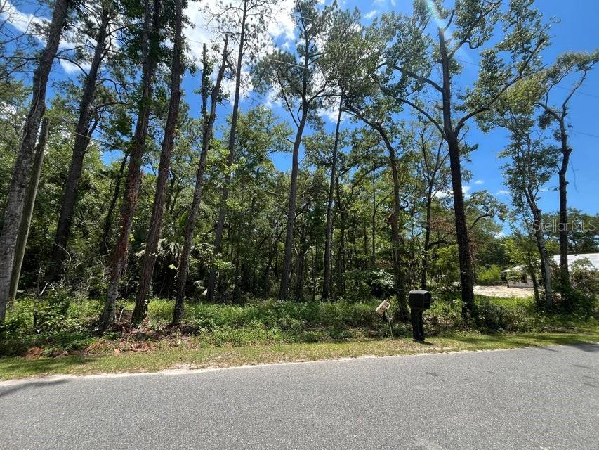Photo of tbd FRANKLIN DRIVE CRAWFORDVILLE FL 32327
