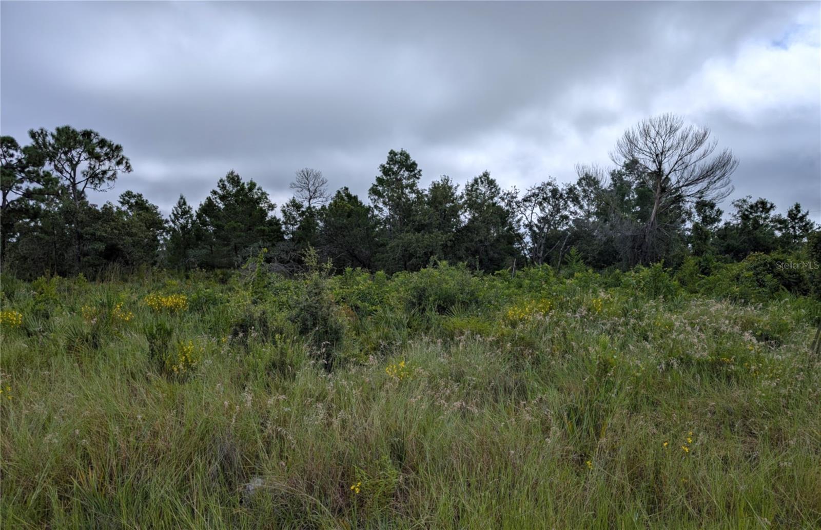 Photo of 109 FALCON COURT LAKE PLACID FL 33852