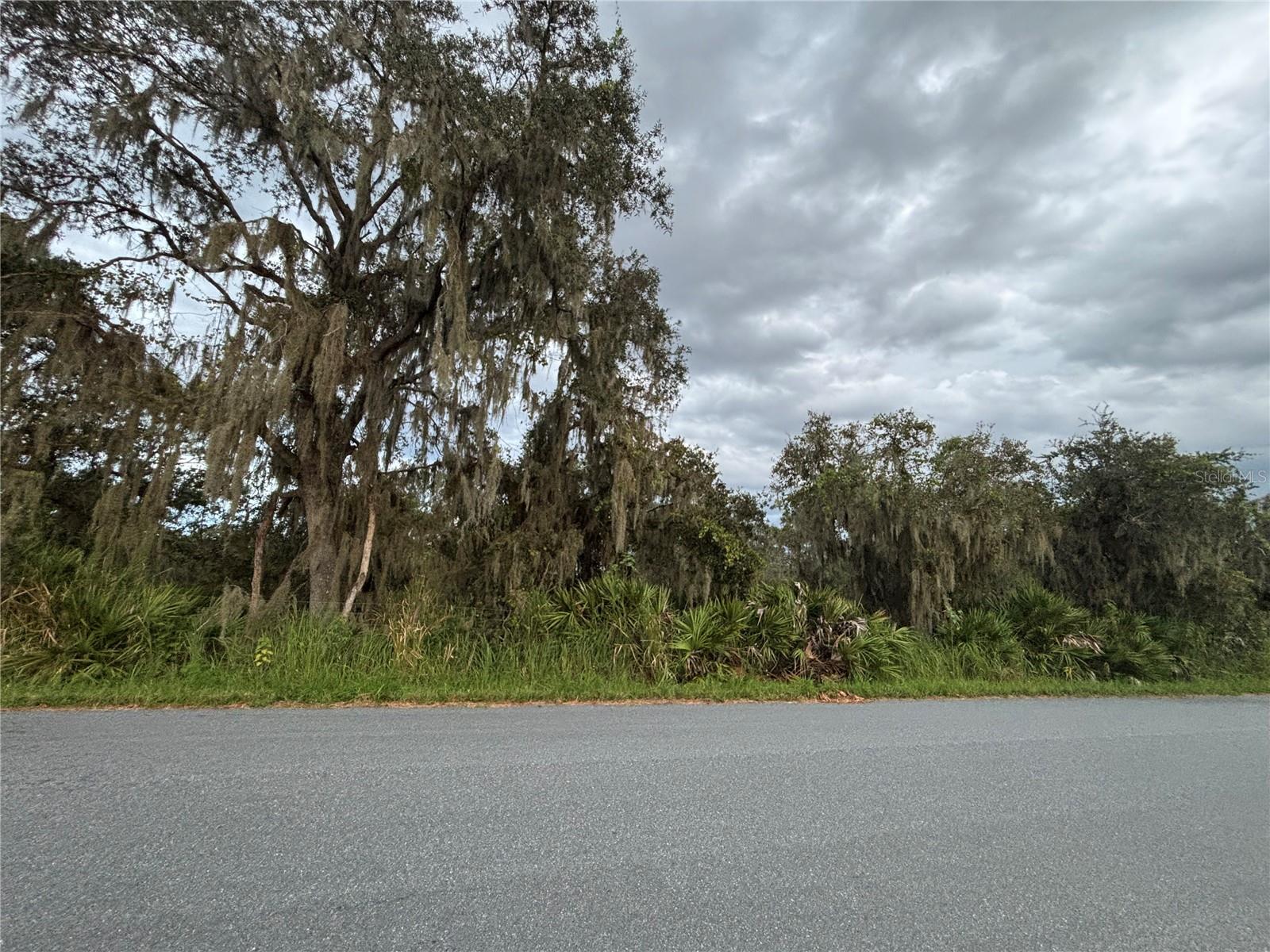 Photo of 0 GABRIEL ROAD FORT MEADE FL 33841