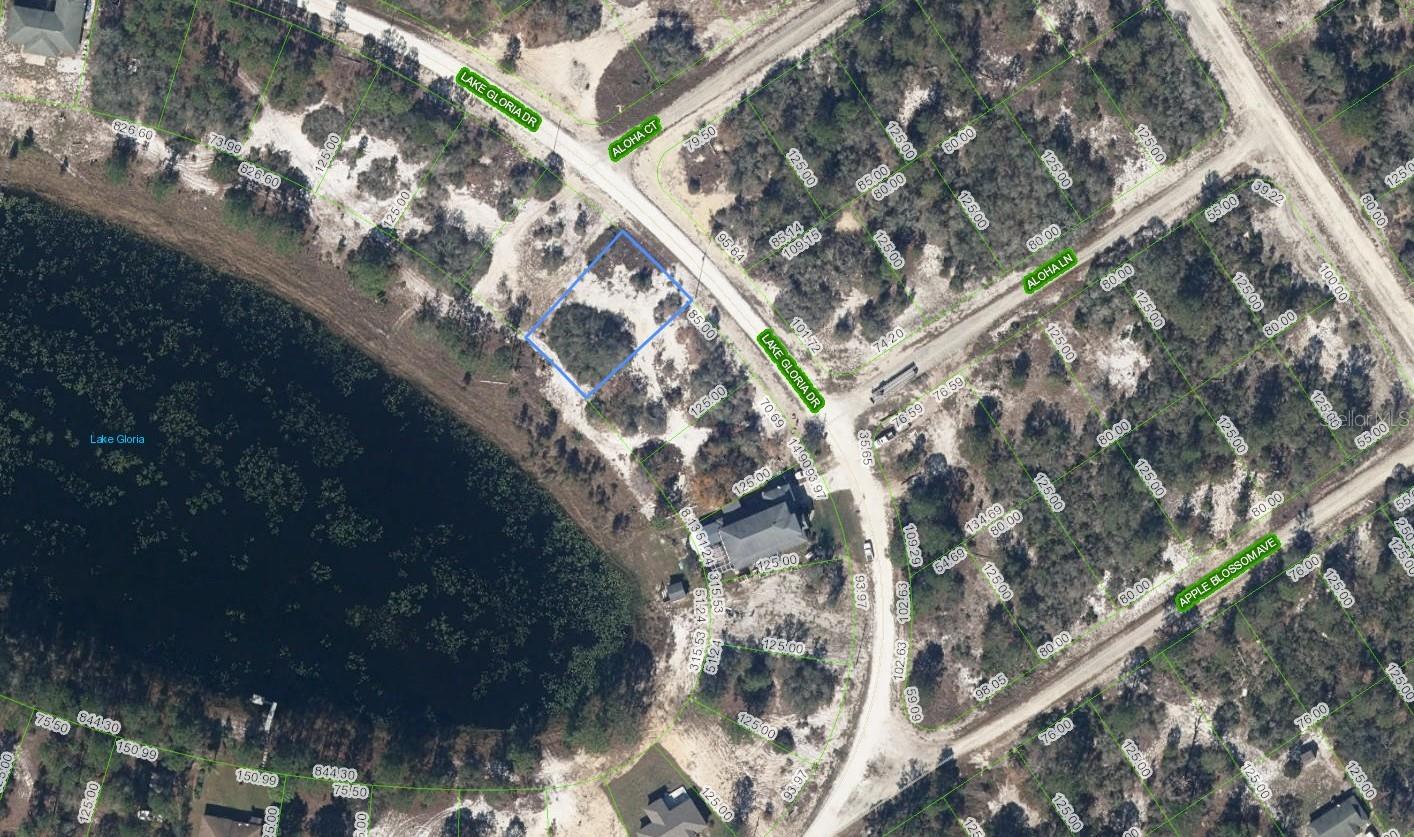 Photo of 454 LAKE GLORIA DRIVE LAKE PLACID FL 33852