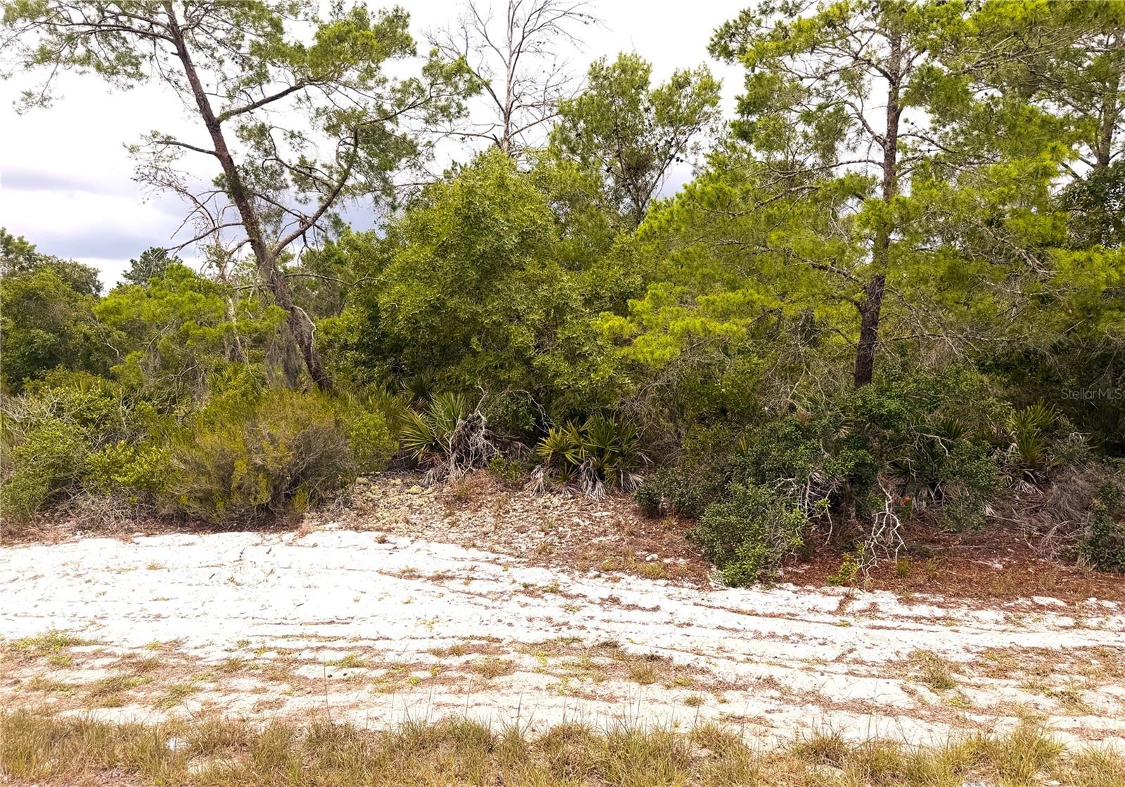 Photo of 209 COOLIDGE AVENUE LAKE PLACID FL 33852