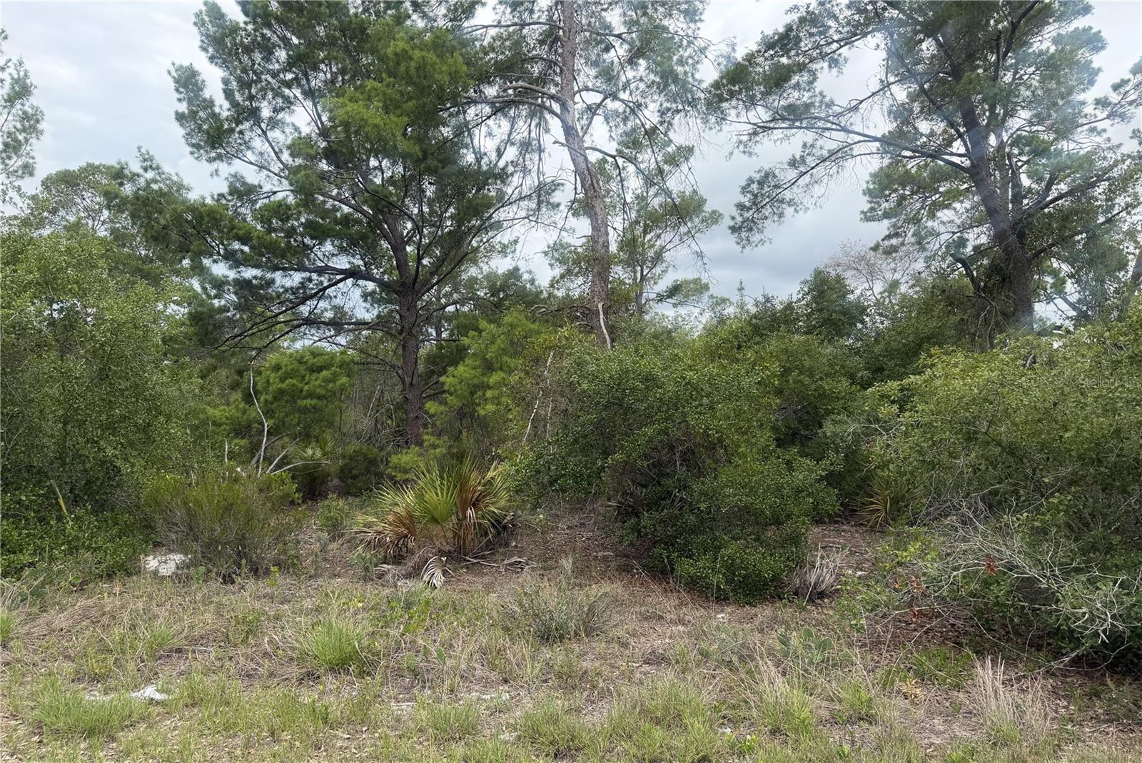 Photo of 105 HOOVER AVENUE LAKE PLACID FL 33852